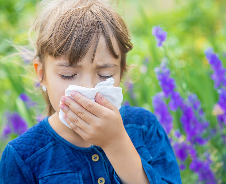 The Symptoms Of Seasonal Allergies, And What You Can Do About Them